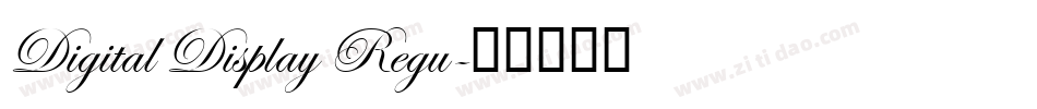Digital Display Regu字体转换